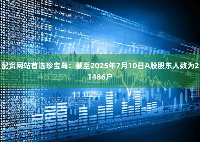 配资网站首选珍宝岛：截至2025年7月10日A股股东人数为21486户
