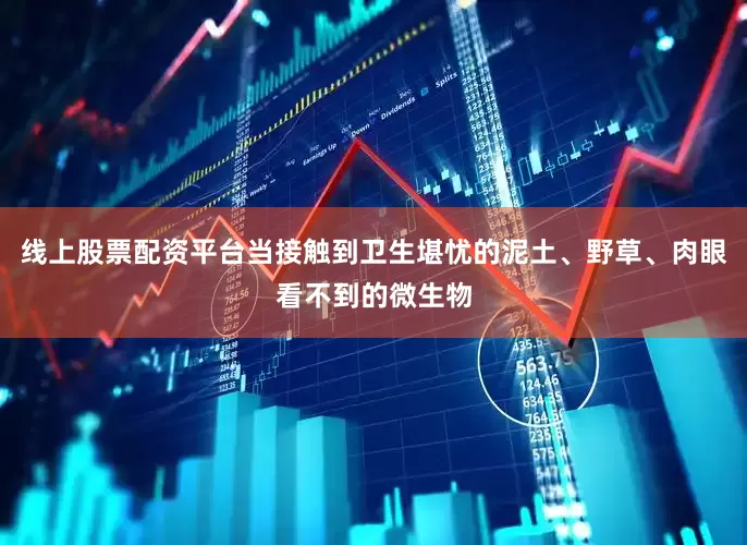 线上股票配资平台当接触到卫生堪忧的泥土、野草、肉眼看不到的微生物