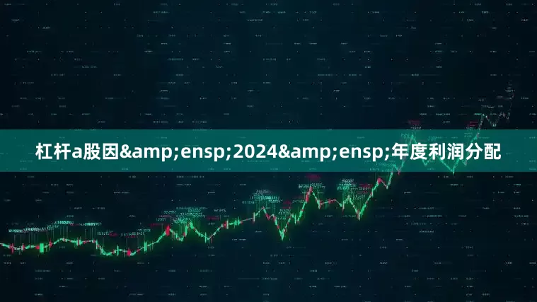 杠杆a股因&ensp;2024&ensp;年度利润分配